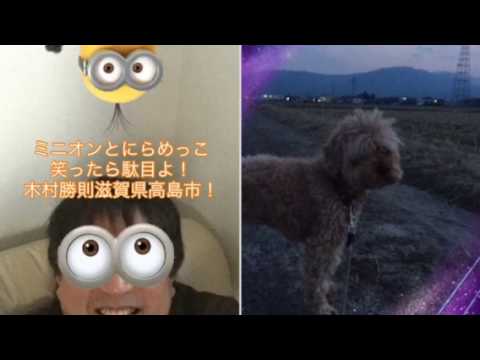 会計学科 こんな時は大声で笑うしかない 木村勝則滋賀県高島市！