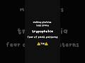 Making phobias less scary 🤍 | trypophobia | #phobia #fyp