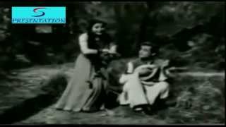 Raat Hai Taaron Bhari - Lata Mangeshkar - PARDES