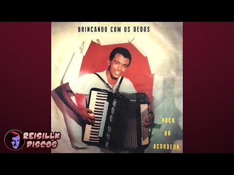Noca do Acordeon - Noca no Choro
