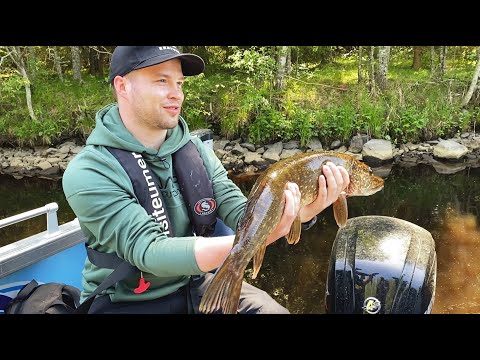 Mistä hauet löytyvät? - Jälleenmyyjien koutuspäivillä