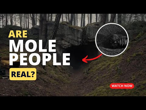 Mole People | The Underground Human Civilization