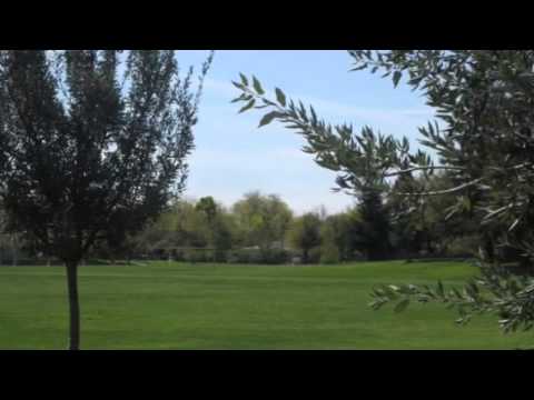 Two bedroom and one bath duplex in Sacramento