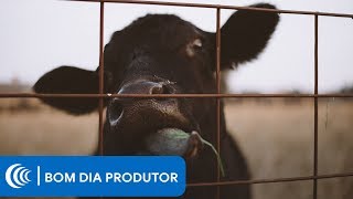 Miniatura do vídeo