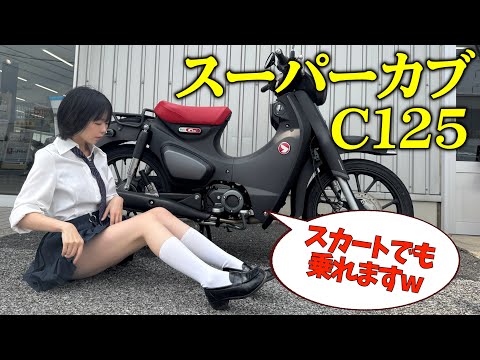 📢“カブ”がこんなにカッコよくなった🔥主演声優が徹底解説🐻❤️【HONDAスーパーカブC125】