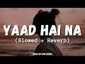 Yaad Hai Na Arijit Singh Slowed And Reverb Raaz Reboot Lofi Song