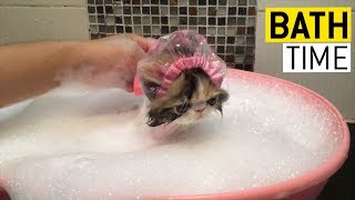 animales hora del baño