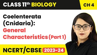 Coelenterata (Cnidaria): General Characteristics (Part 1) | Class 11 Biology Chapter 4 | NCERT/CBSE