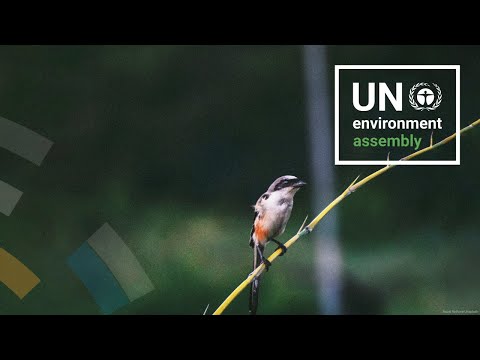 Enabling the shift to sustainability and circularity in the textile value chain