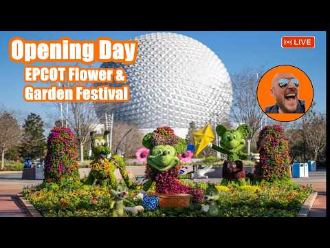 Live webcam of Theme Park Giant