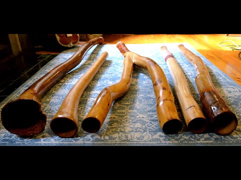 Batch 10! Genuine Didgeridoos Meant for Playing