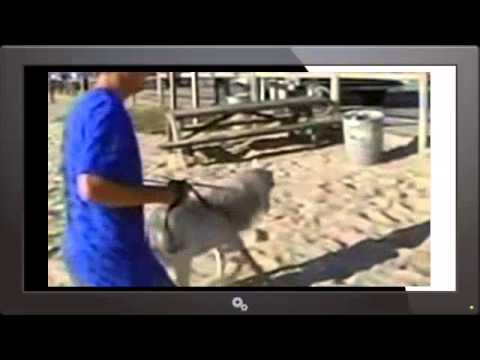 Rob & Big 1997 Season 3 Episode 3