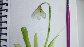 Live part 2 - A white watercolor Snowdrop