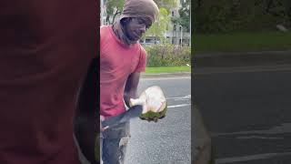 🇧🇧 Coconut Milk Explosion Barbados Street Food #shorts