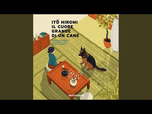 Vídeo relacionado con Il cuore grande di un cane (Narrative)