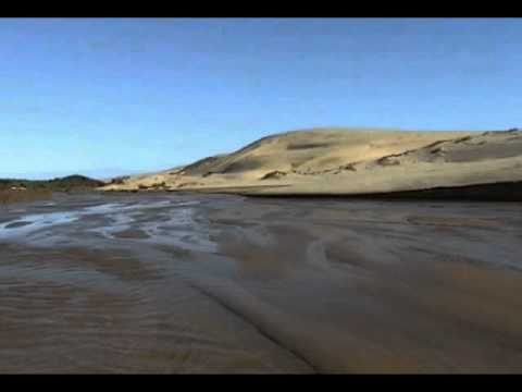 Koca Metallec - Quicksand (Serbian Psy) 2011