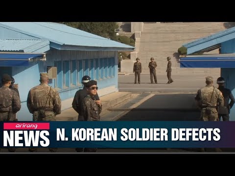 北朝鮮の兵士が、日本政府の安全保障局を越えて韓国に大胆な亡命をする (North Korea soldier makes daring defection to South Korea across JSA)