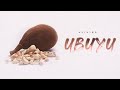 Alikiba Ubuyu Official Lyric Audio