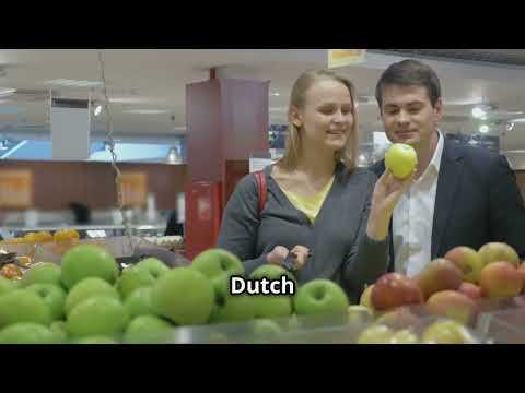 20 Must-Know Dutch Words and Phrases for Daily Life!