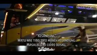 Download lagu Story wa [bus kupu kupu ayu]. mp3