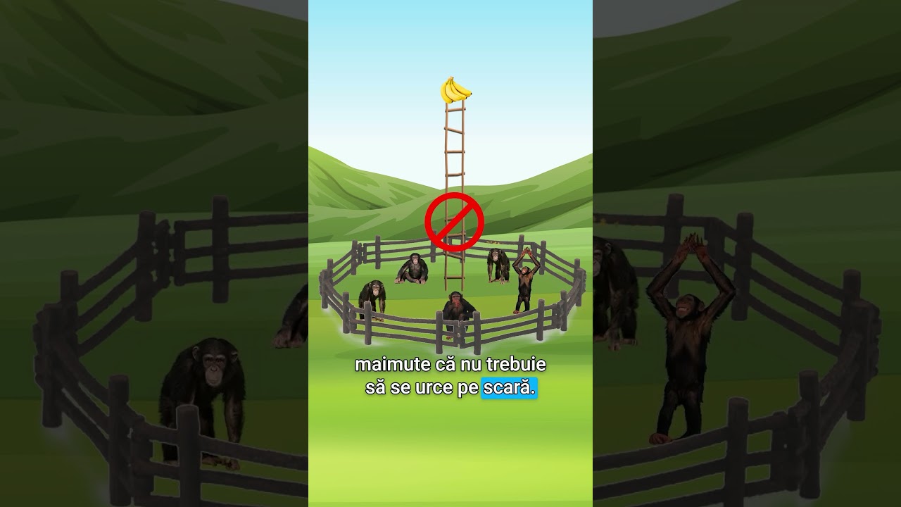 Experimentul cu 5 maimute și bananele de la capătul scării.