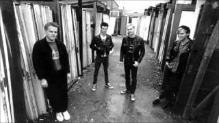 The Mr T Experience - Foggy Mountain Top (HQ Audio)