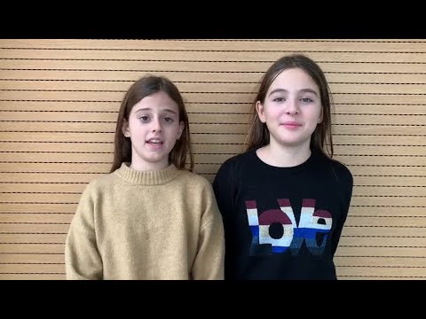 Are Owlypia Locals fun?