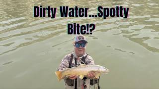 Everyone Said the San Juan Was Too Murky | Guide Says Fish This… So We Did #flyfishing #fishing 