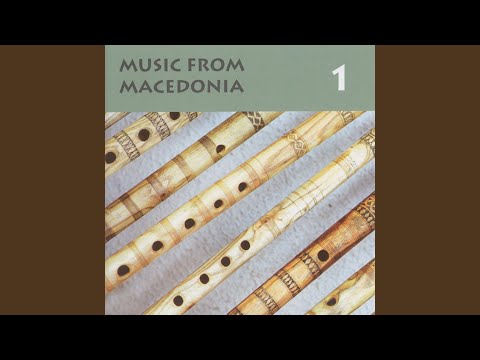 Chifte, chifte, pajtonlari