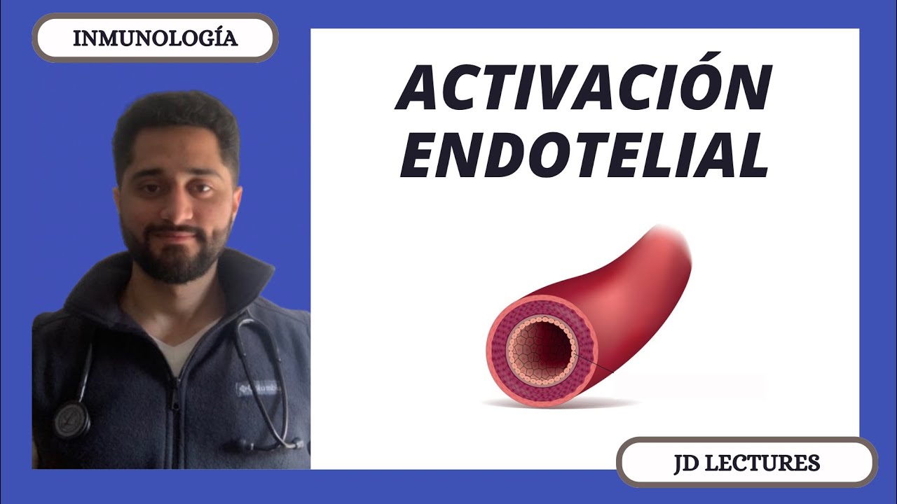 ACTIVACIÓN ENDOTELIAL | INMUNOLOGÍA