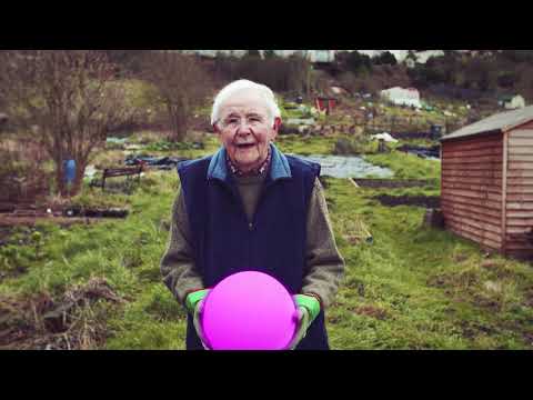 Bristol City Council's City Leap