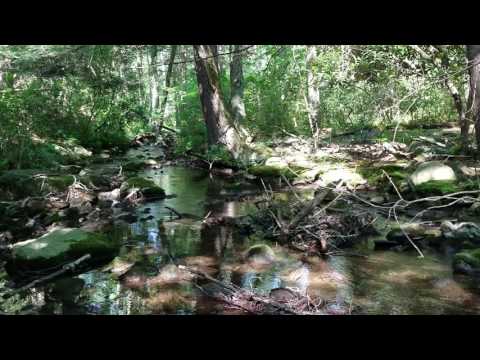 Dunnfield creek! Follow the Dunnfield creek trail from the parking lot to Sunfish pond for some variety. Better yet, do it from Sunfish pond down to the parking lot, it gets steep near the pond