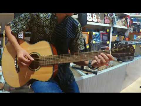 Yamaha F370, Yamaha APX500, AK 140EQ, Fender CD-60, Kuerni K4, Montana MA705C, Santa Cruz DRW 21