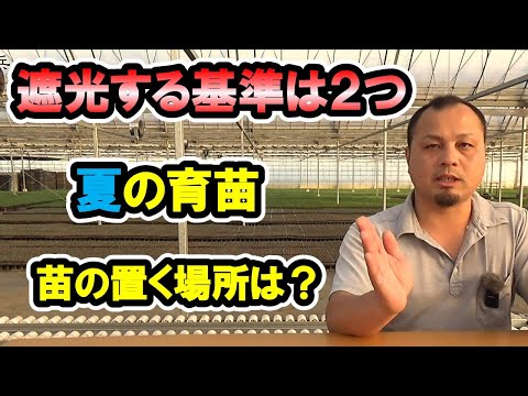 種まきに関する10の質問と回答 トピックス