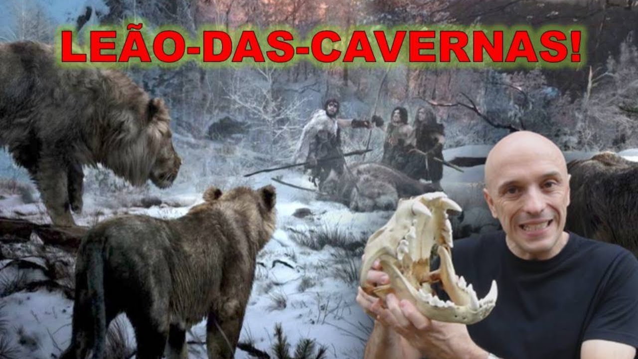LEÃO-DAS-CAVERNAS! UM DOS MAIORES FELINOS QUE JÁ EXISTIU! ERA MAIOR QUE OS LEÕES E TIGRES DE HOJE.