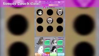Play Kittens