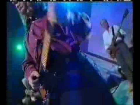 The Bon Temp Playboys, Mambo, web