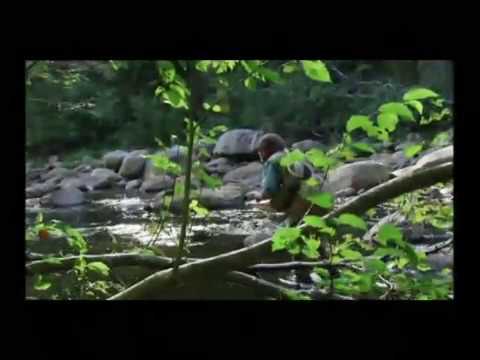 ORVIS - Fly Fishing Lessons - How To Read A Trout Stream Pt.1