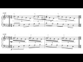 Michael Harrison - Revelation: X. Tone Cloud III, XI. Finale (score follower)