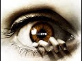 The Eye