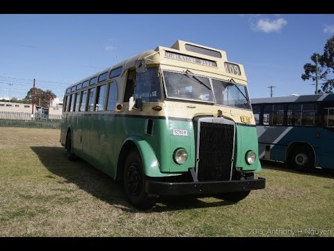 Sydney Bus Museum [Leichhardt] Leyland OPS2/1 / Commonwealth Engineering, 52783-H (2599) [Preserved]