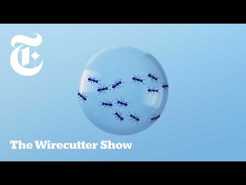Wirecutter Ant Traps