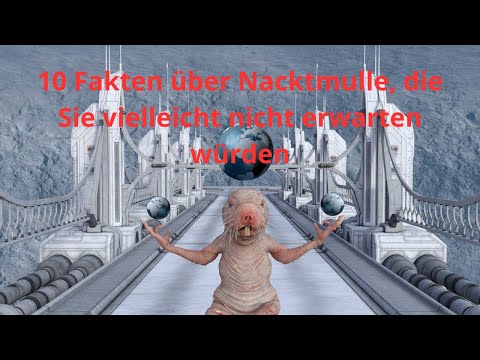 10 Fakten über Nacktmulle, die Sie vielleicht nicht erwarten würden l Fakten über Tiere