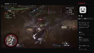 [MHWI]アイスボーンで遊ぶ断食4日目