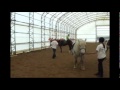 Wrath Of Mojo S Hoof Horse Kick As Seen On AFV FULL CLIP