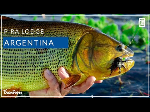 Pira Lodge | Argentina