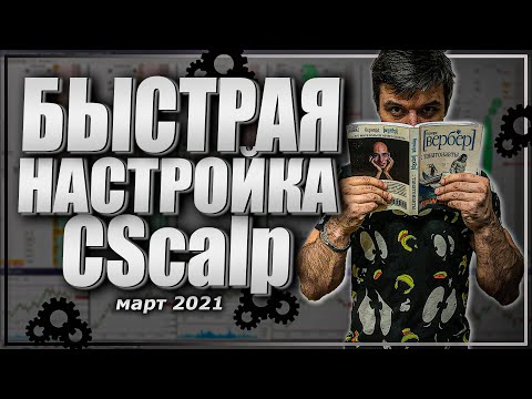 Полная настройка привода CScalp | Скальпинг |