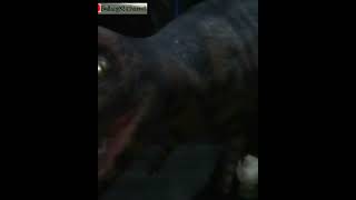 Download lagu uji nyali digedung teterbengkalaibikin jantung Berdebar-debar😨 mp3 Download lagu uji nyali digedung teterbengkalaibikin jantung Berdebar-debar😨 mp3