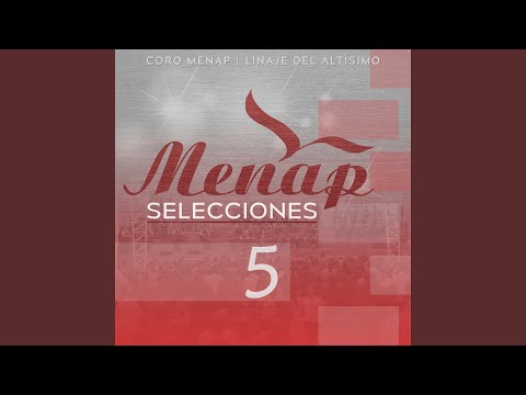 Pon aceite en mi lámpara