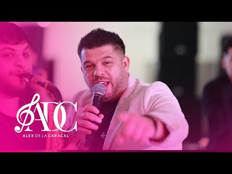 ALEX DE LA CARACAL - DACA O VEDETI CUMVA LIVE